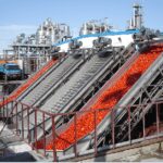 Recibo Transporte Seleccion y Lavado de Frutas